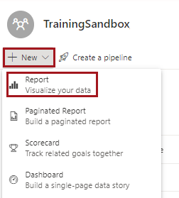 The New options, including Report and Dashboard.