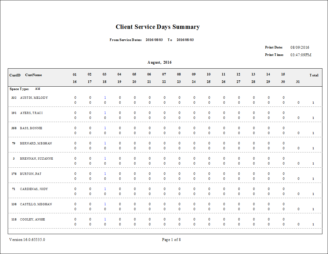 The Client Service Days Summary report.