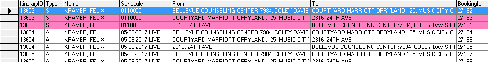 An trip itinerary with one trip highlighted and two others colored in pink.