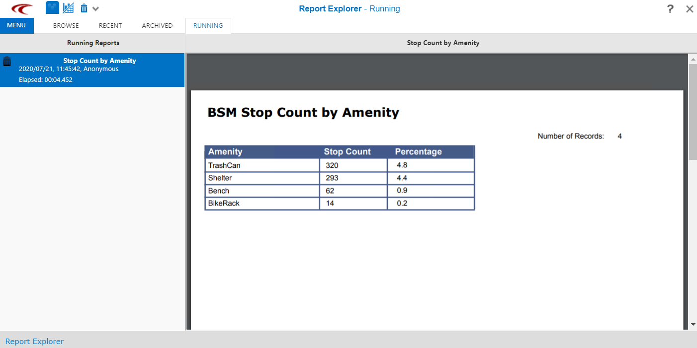 Report Preview screen