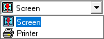 A list containing Screen (symbolized by a blue square surrounded by a gray border) and Printer (symbolized by a printer icon). Screen has a red exclamation point on it.