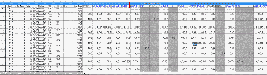 Sample FLEX on Trips tab