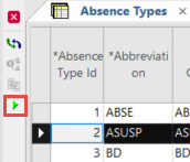 Absence Types screen with a record highlighted and the Update Accrual Flag button circles in red.