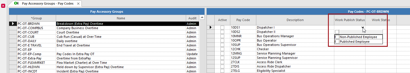 The Pay Accessory Groups screen open to the Pay Codes context with Work Publish Status circled in red.