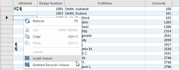 Audit Viewer menu