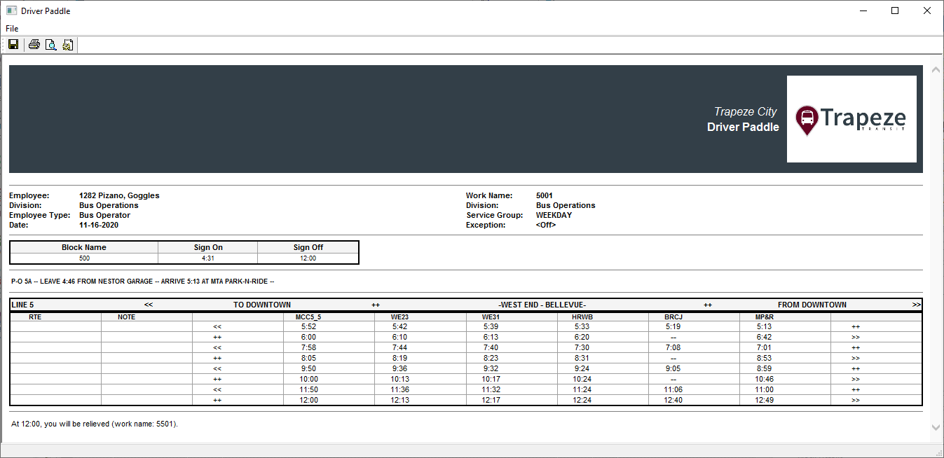 Driver Paddle display