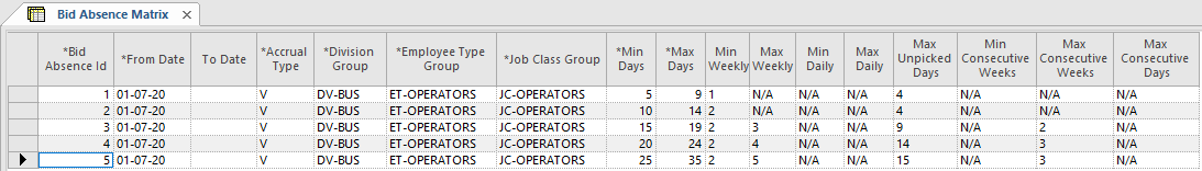 Bid Absence Matrix ancillary data screen showing banded records for the V Accrual Type.