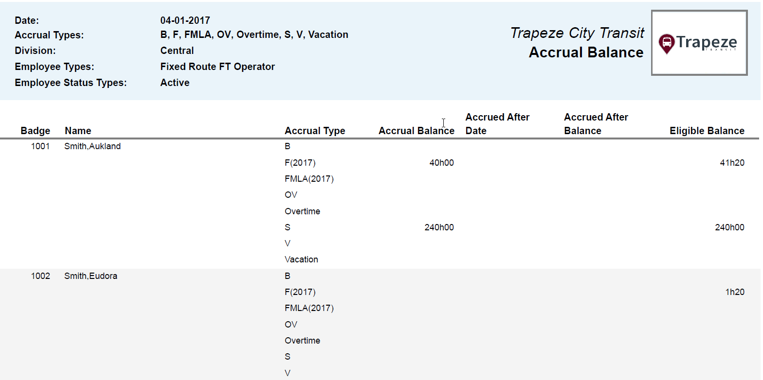 Accrual Balance Report