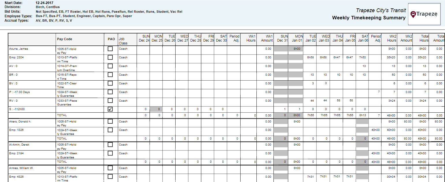 Biweekly Timekeeping Summary Report