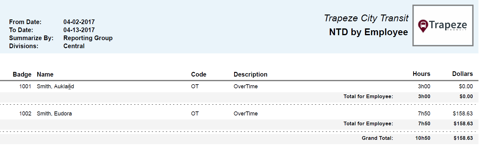 NTD by Employee Summarized by Reporting Group Report