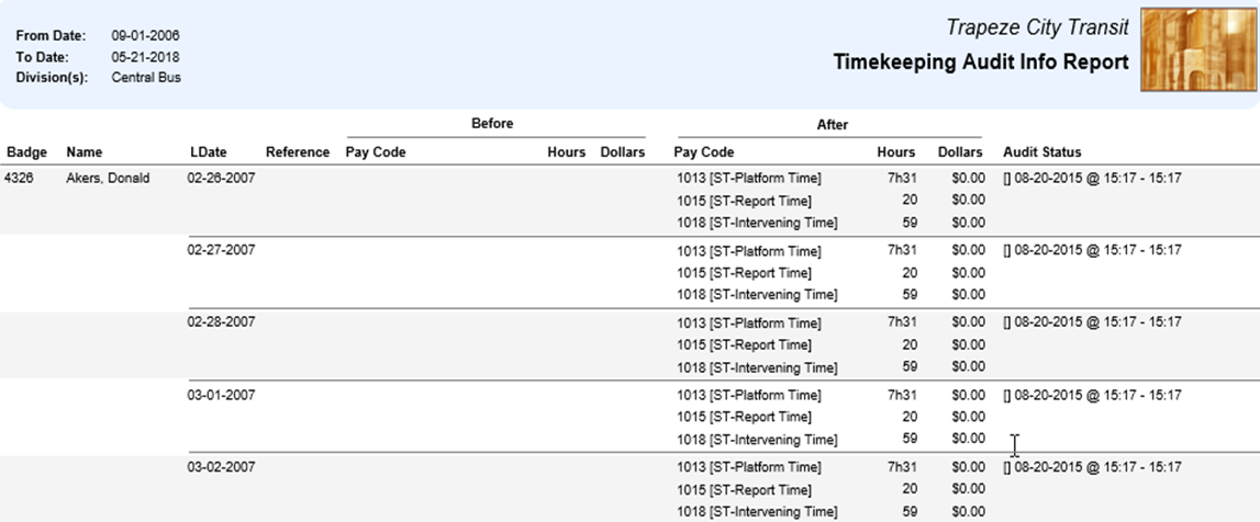 Timekeeping Audit Info Report Summarized by Pay Code
