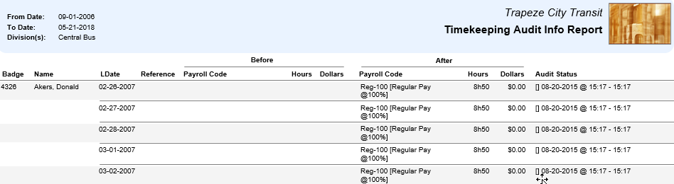 Timekeeping Audit Info Report Summarized by Payroll Code