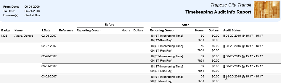 Timekeeping Audit Info Report Summarized by Reporting Group