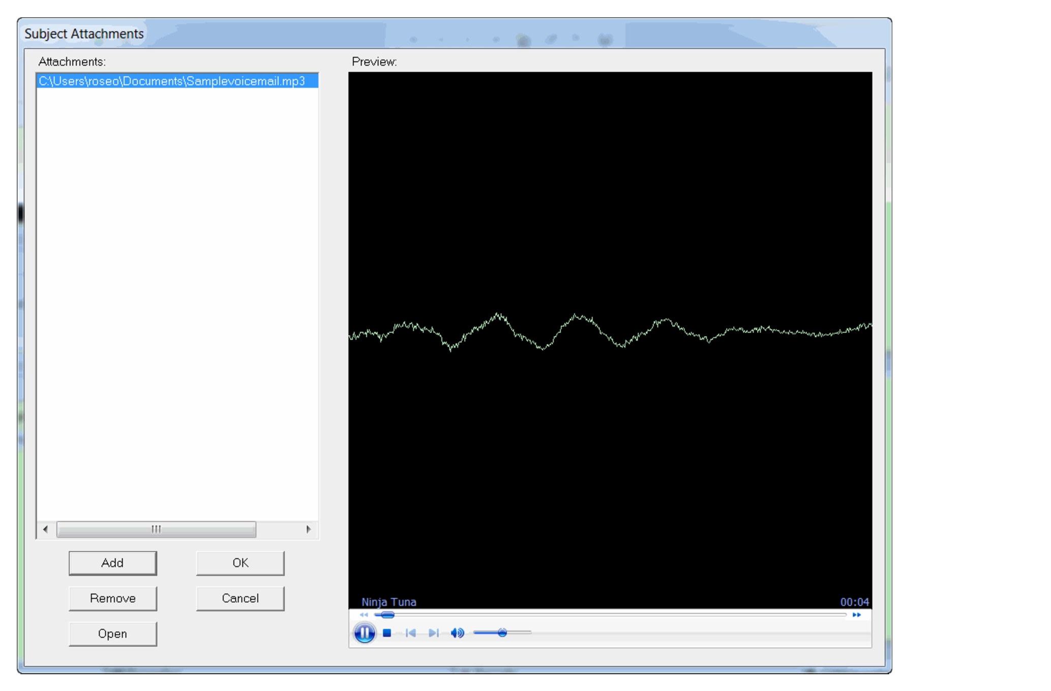 Subject Attachments dialog box